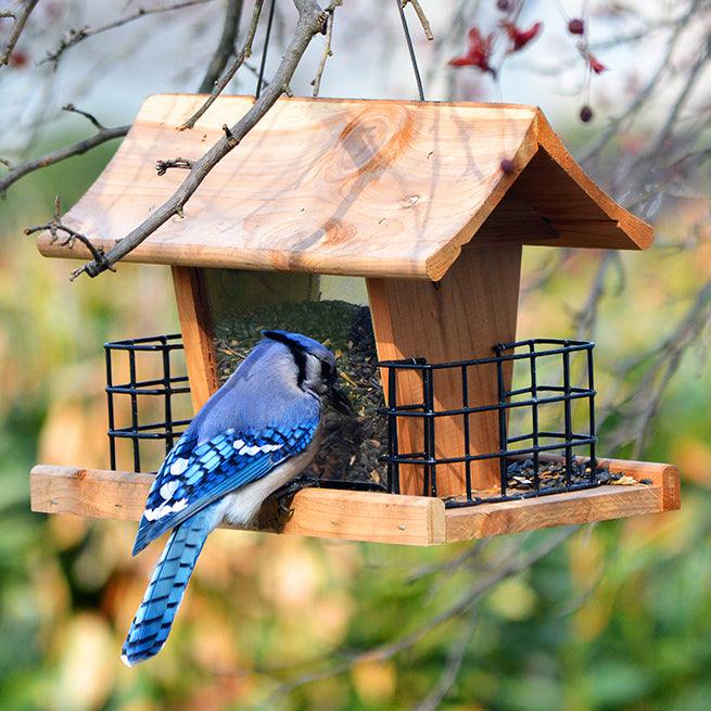 Feeders
